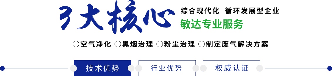 骚逼浪荡粉逼插死我了视频敏达环保科技（嘉兴）有限公司